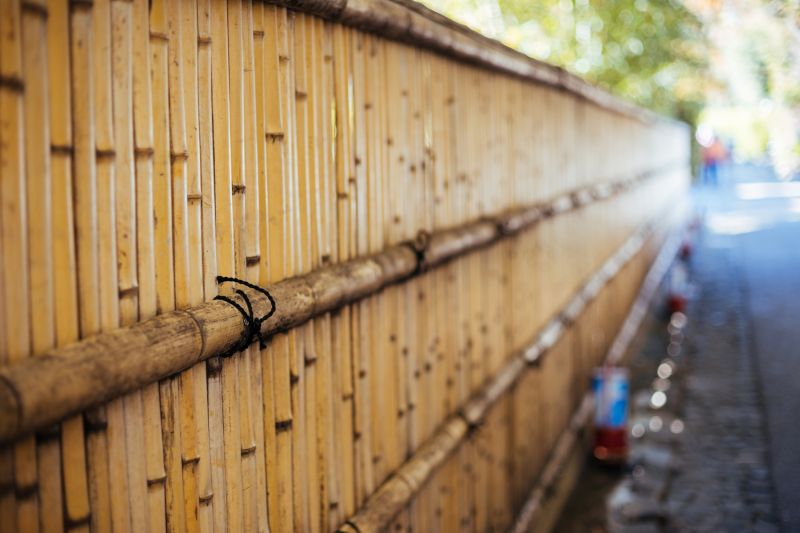 Bamboo Fence Example